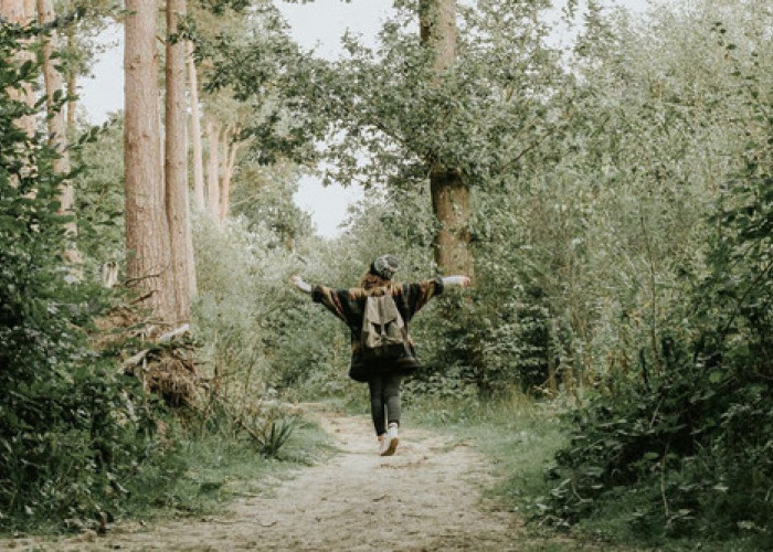 Pensiun Dini di Usia Berapa dan Bagaimana Persiapannya?