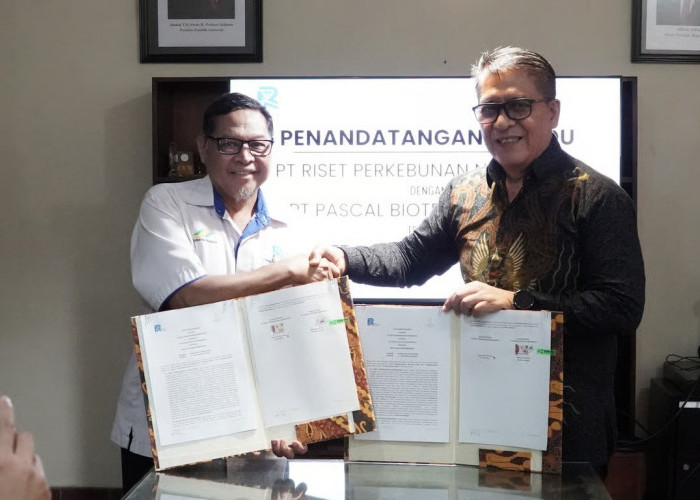 Holding Perkebunan Nusantara Dorong Sinergi Riset dan Industri, PT RPN Jalin Kemitraan Strategis dengan Pascal