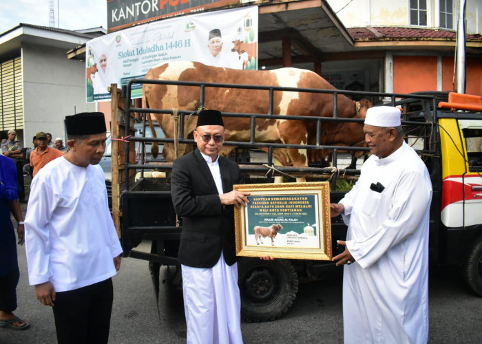 Pemkot Pontianak Salurkan 22 Ekor Sapi