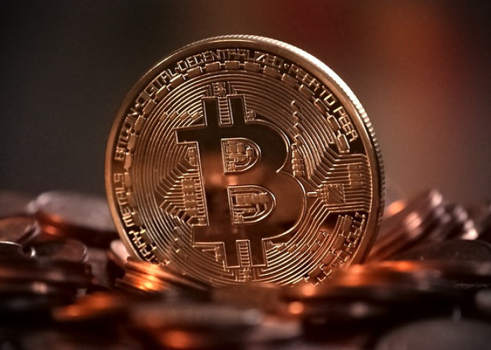 Prospek Investasi Bitcoin di Tahun 2024, Peluang dan Tantangan yang Harus Diketahui