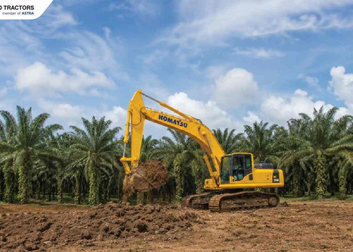 Panduan Memilih Alat Berat untuk Konstruksi, Pertambangan, dan Perkebunan Sawit