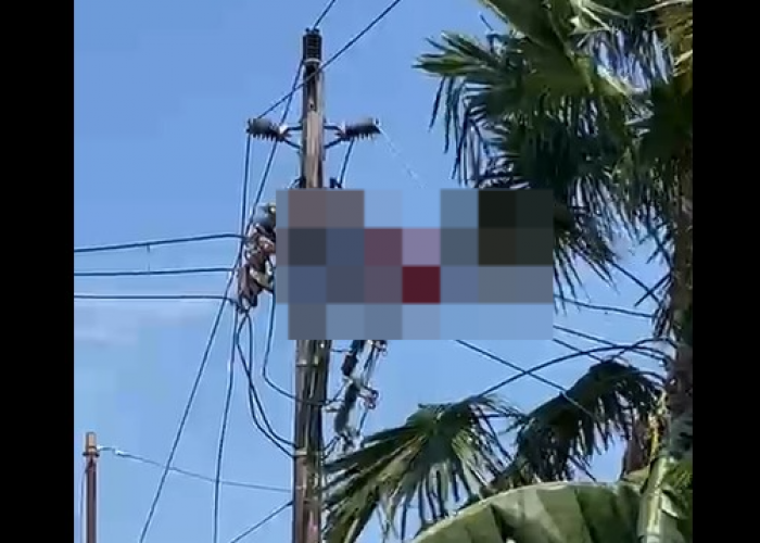 Nekat Panjat Tiang Listrik Demi Curi Kabel, Pria di Pontianak Selatan Tersengat Tegangan Tinggi
