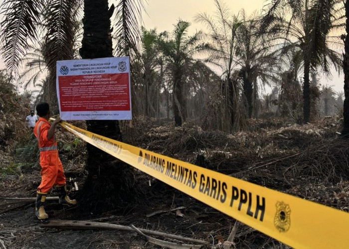 Sanksi Penanganan Karhutla Kalbar Tak Pandang Bulu, Enam Perusahaan Sawit Masuk Proses Penyegelan