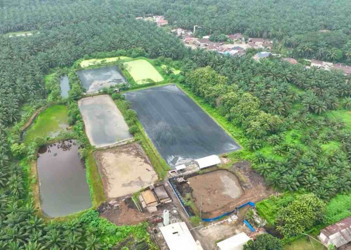 Hadapi Gejolak Energi Global, Holding Perkebunan Nusantara Andalkan PLTBg PalmCo