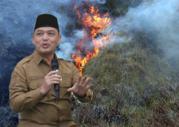Pemprov Kalbar Perkuat Respons Karhutla dari Darat hingga Udara, Ria Norsan Kawal Perkembangan