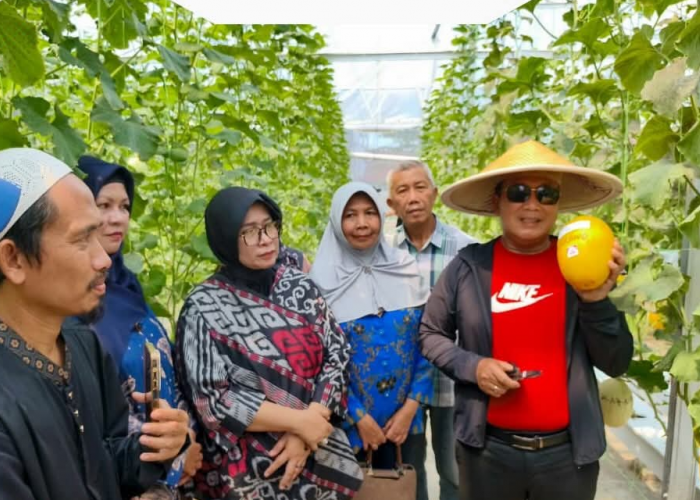 Kejar Nilai Ekonomis, Bupati Kubu Raya Ajak Warga Manfaatkan Pekarangan