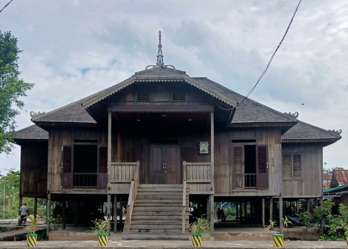 Kolase Journalist Camp 2025: Merawat Ragam Hayati, Menyuarakan Masa Depan