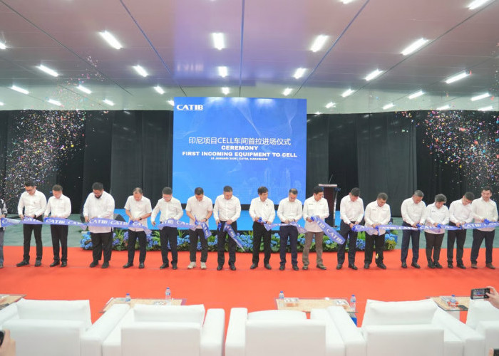 Ekosistem Baterai Karawang, Multiplier effect bagi Ekonomi Nasional