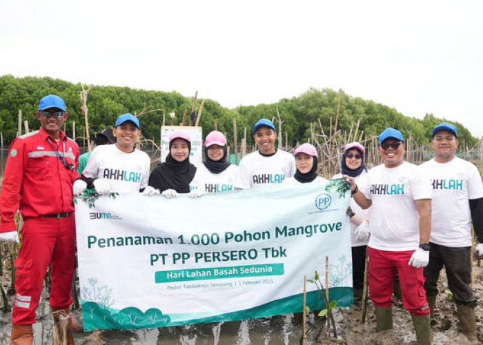 PTPP Hijaukan Pesisir Tambakrejo dengan 1.000 Mangrove, Lindungi Masyarakat dari Abrasi dan Perubahan Iklim