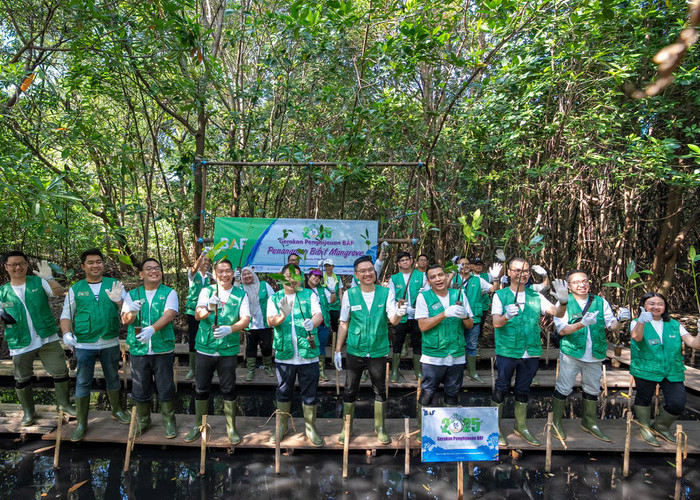 LindungiHutan Rilis Data CSR Teraktif dalam Aksi Tanam Pohon 2025