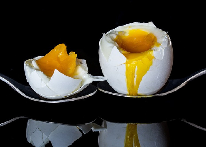 5 Manfaat Luar Biasa Telur Rebus untuk Kesehatan Tubuh