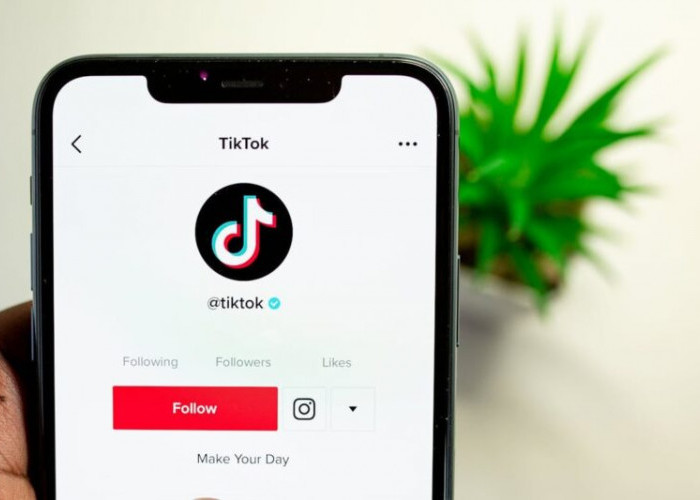 Ketika 1.000 Followers Lebih Berharga Dari 100.000: Kenalan Dengan 
