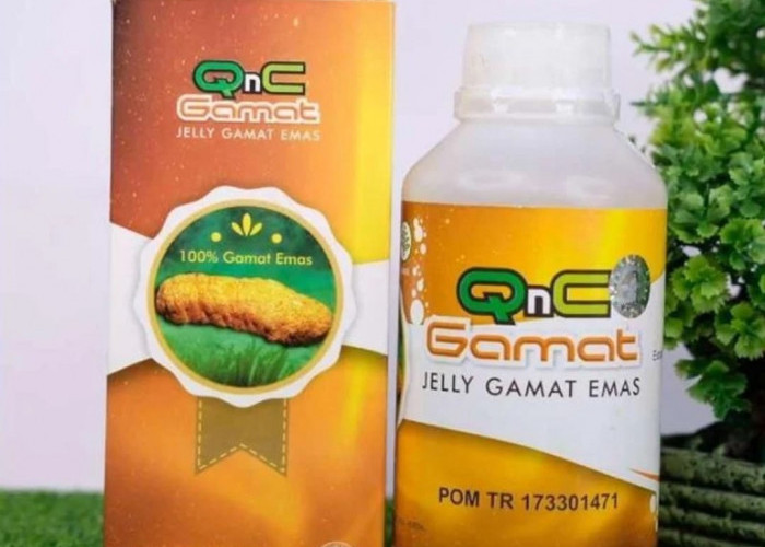 QnC Gamat, Jelly Gamat Emas, Produk Herbal Kekinian