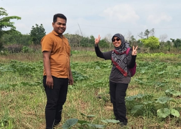 Peneliti Pertanian Kalbar Ungkap F1 Embio, Teknologi Tanpa Bakar untuk Lahan Gambut