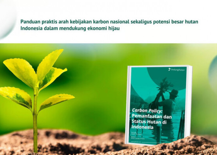 LindungiHutan Luncurkan eBook “Carbon Policy” untuk Dorong Transisi Karbon di Indonesia