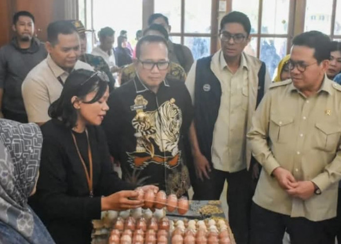 Mendag RI Budi Santoso Tinjau Operasi Pasar Murah di Kubu Raya Menjelang Nataru