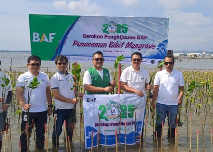 Inovatif! Startup Ini Bantu Perusahaan Lakukan CSR Lewat Pohon