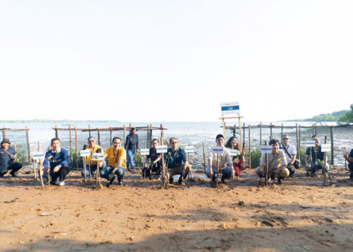 Lewat Program New Home-Pass, New Tree, Linknet Tanam 7.500 Pohon Mangrove di Kepulauan Riau