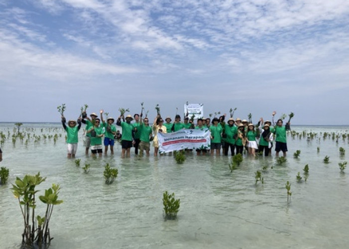 Perusahaan Teknologi Hikvision Rayakan Hari Lingkungan Hidup dengan Tanam Mangrove di Pulau Pari