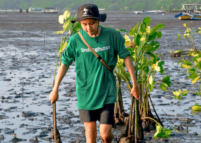 Capaian LindungiHutan dalam Melestarikan Lingkungan Sepanjang 2023