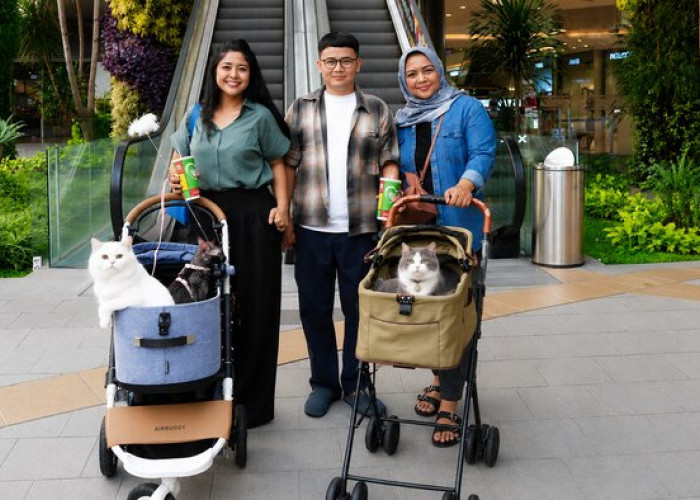 Main Bareng Anabul Di Grand Galaxy Park yang Cat Friendly