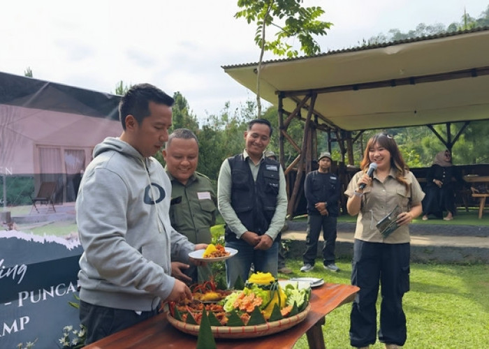 Hidden Gem Nature Escape. Forest Garden Puncak by Luxcamp, Hadir dengan Konsep Lebih Luas dan Asri