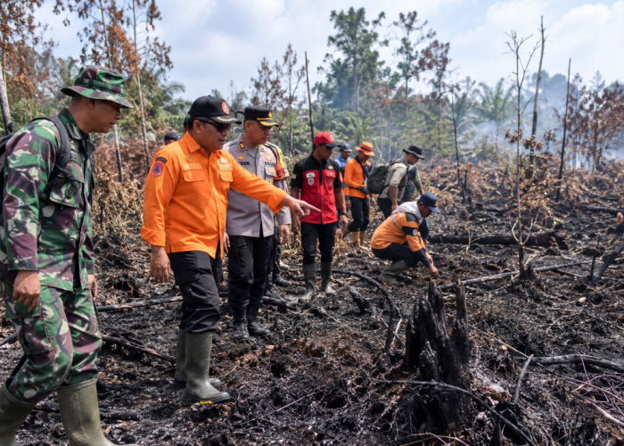 Karhutla Kalbar Menurun, BPBD Perkuat Pemantauan Titik Bekas Kebakaran