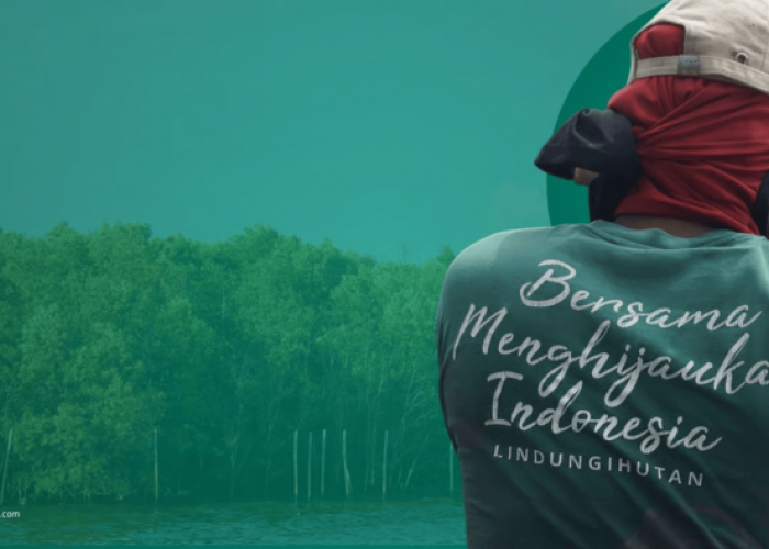 Deforestasi Indonesia Meningkat di 2024, Perusahaan Didorong Perkuat CSR Lingkungan