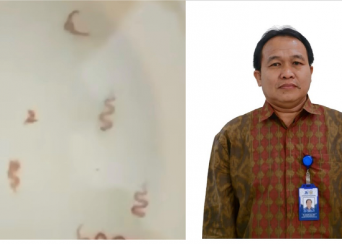Heboh Cacing Muncul di Sungai Kapuas Pontianak Bukan Pencemaran, Ini Kata Pakar