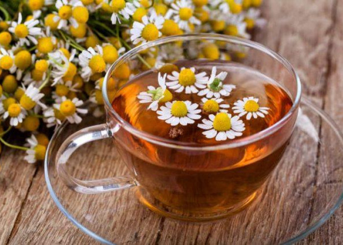 Resep Minuman Sehat yang Cocok Diminum Sebelum Tidur
