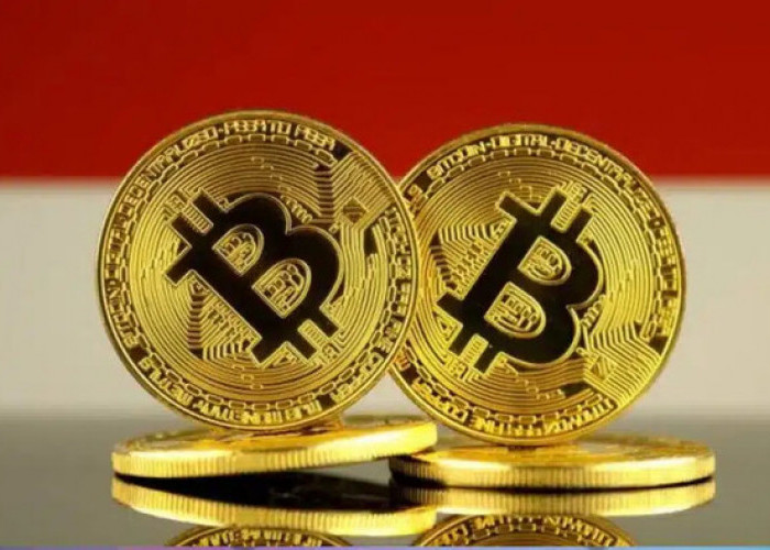 Digeser India dan Vietnam, Indonesia Kini Peringkat 7 Adopsi Kripto Dunia