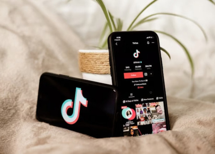 Riset: Gen Z Lebih Percaya Info Dari TikTok Daripada Google