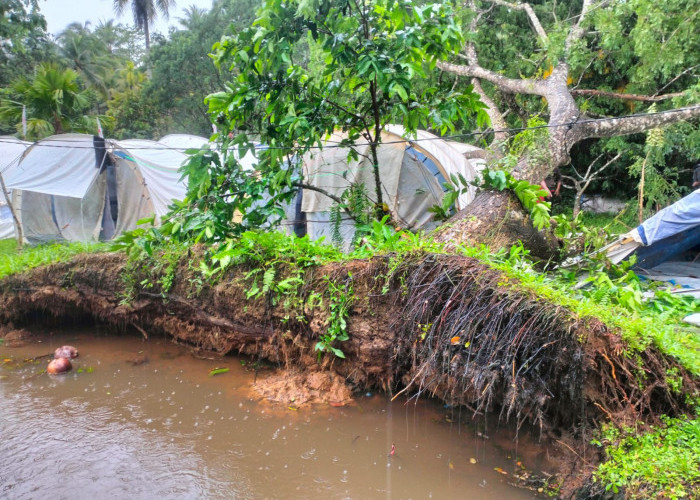 Hujan dan Angin Kencang Melanda Area Perkemahan Kubu Raya, Dua Orang Luka-Luka dan Satu Orang Tewas