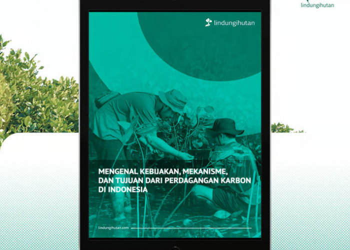 Panduan Praktis Memahami Perdagangan Karbon di Indonesia