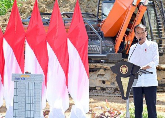 Hebat! Jokowi Sebut Antrian Investor di IKN Makin Panjang