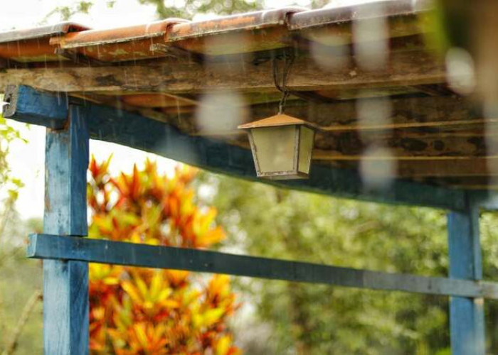 Apa yang Harus Dilakukan Jika Rumah Bocor Mendadak?