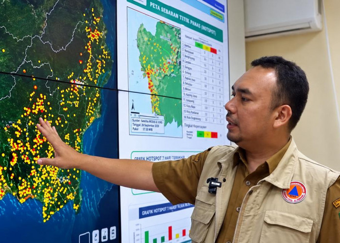94 Laporan Karhutla sudah Ditangani, BPBD Kalbar Tetap Waspadai Potensi Api Kembali Muncul