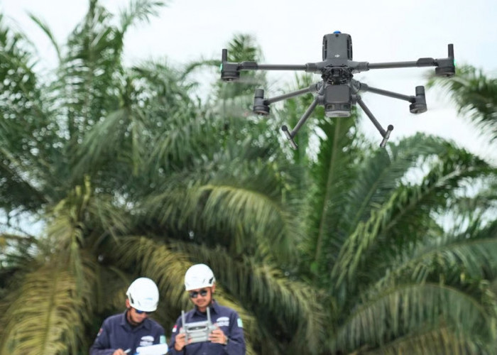 Manajemen Vegetasi dan Analisis Koridor Transmisi dengan Software LiDAR Terrasolid