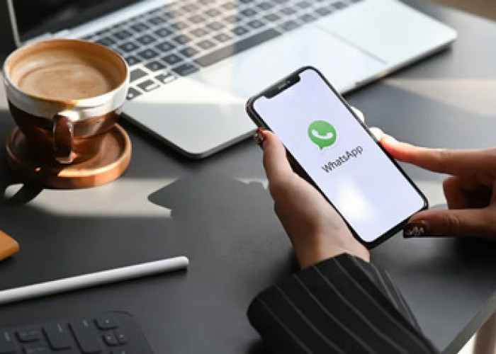 Mengenal Manfaat WhatsApp Business API Untuk Bisnis dan Perusahaan