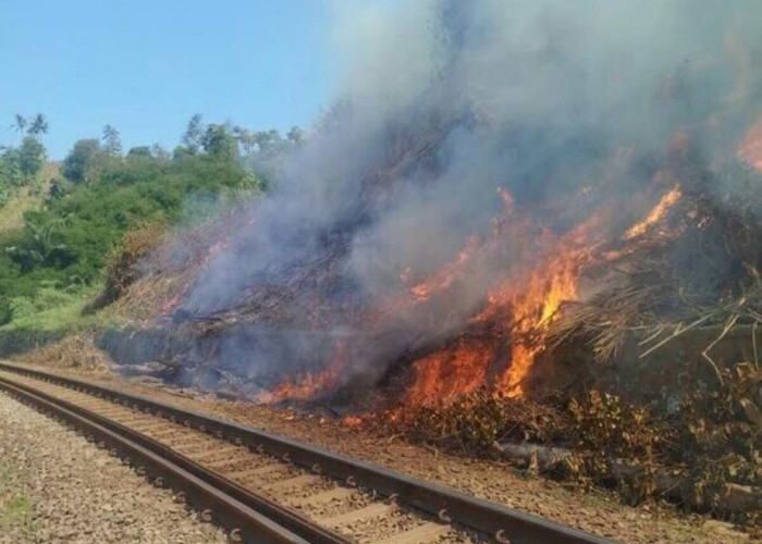 Musim Kemarau, KAI Daop 2 Bandung Himbau Tidak Bakar Sampah di Sekitar Rel