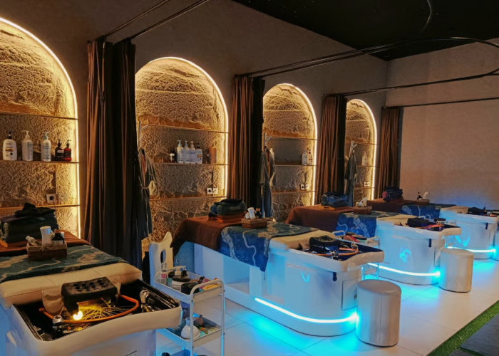 Bring The Fit & Wellness Experience in Hublife