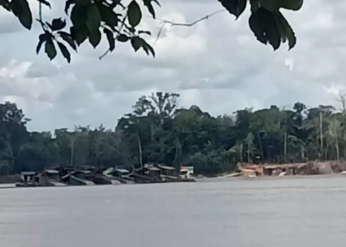 PETI Marak di Sungai Ana Sintang, Diduga Dibiarkan APH: Lingkungan Rusak, Warga Terdampak