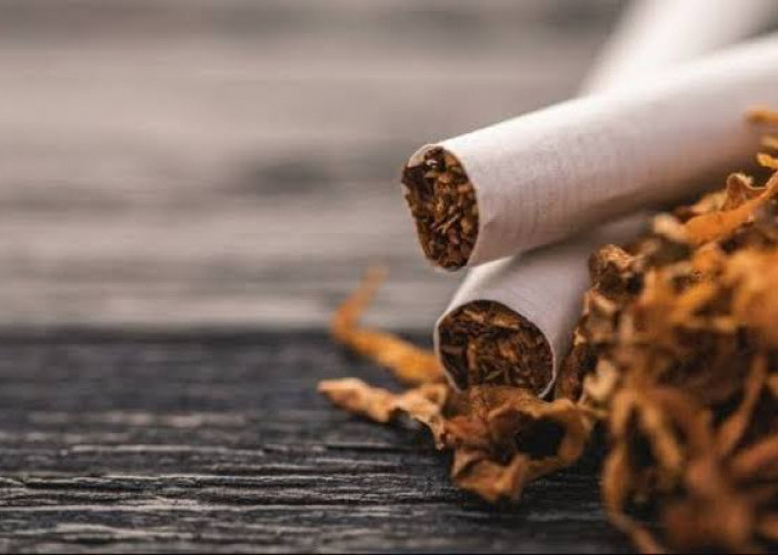 Mengapa Rokok Banyak Menjadi Pilihan Orang Menengah Ke bawah?