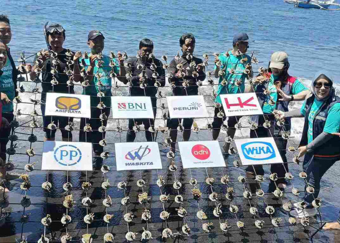 PTPP Tanam 2.500 Bibit Terumbu Karang di Banyuwangi; Wujud Nyata Komitmen Lestarikan Ekosistem Laut Indonesia