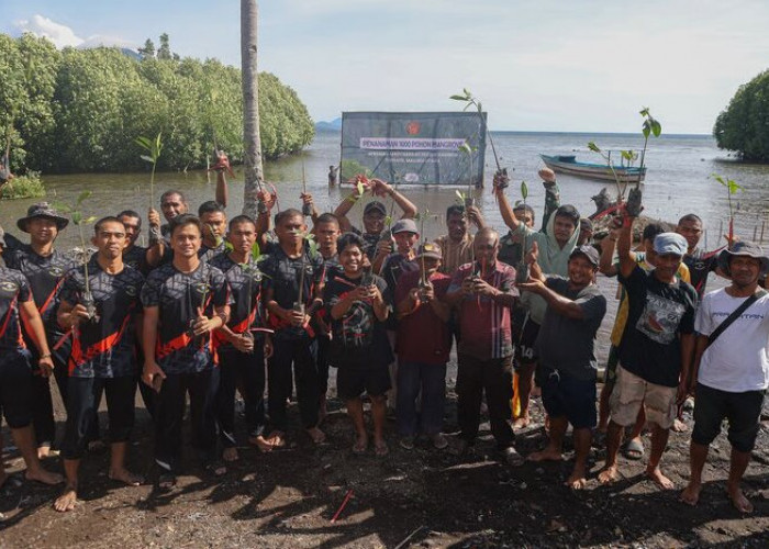 Dukung Pelestarian Pesisir, Kogabwilhan III Tanam 1.000 Mangrove di Pantai Gambesi