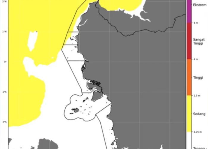 BMKG Keluarkan Peringatan Gelombang Tinggi Perairan di Kalimantan Barat, 28 - 31 Januari 2025
