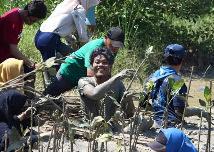 Merayakan Hari Buruh, LindungiHutan Hargai Petani Pohon Sebagai Pahlawan Hijau