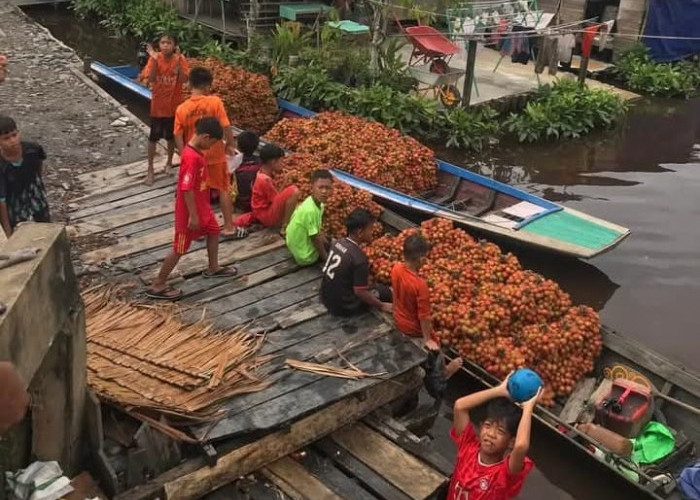 Panen Raya, Rambutan Sajad Jadi Buruan Warga Sambas dan Sekitarnya