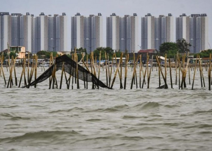 5 Fakta Munculnya Pagar Laut Misterius di Tangerang: Ancaman Nelayan hingga Pelanggaran Hukum