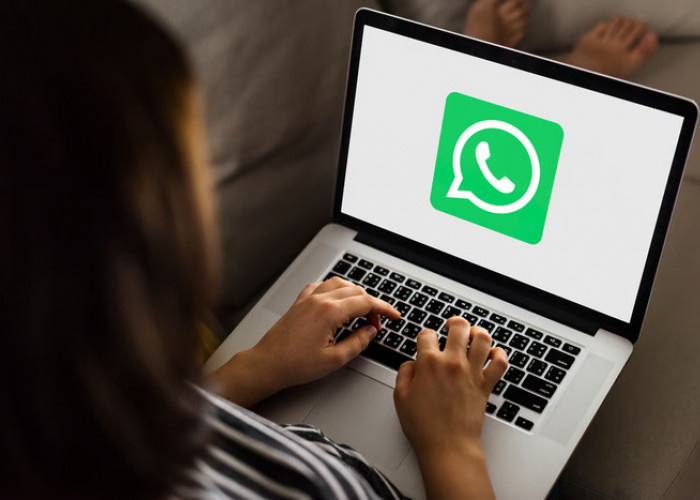 Pebisnis Wajib Tau! Ini Perbedaan WhatsApp Business Biasa dan WhatsApp Business API